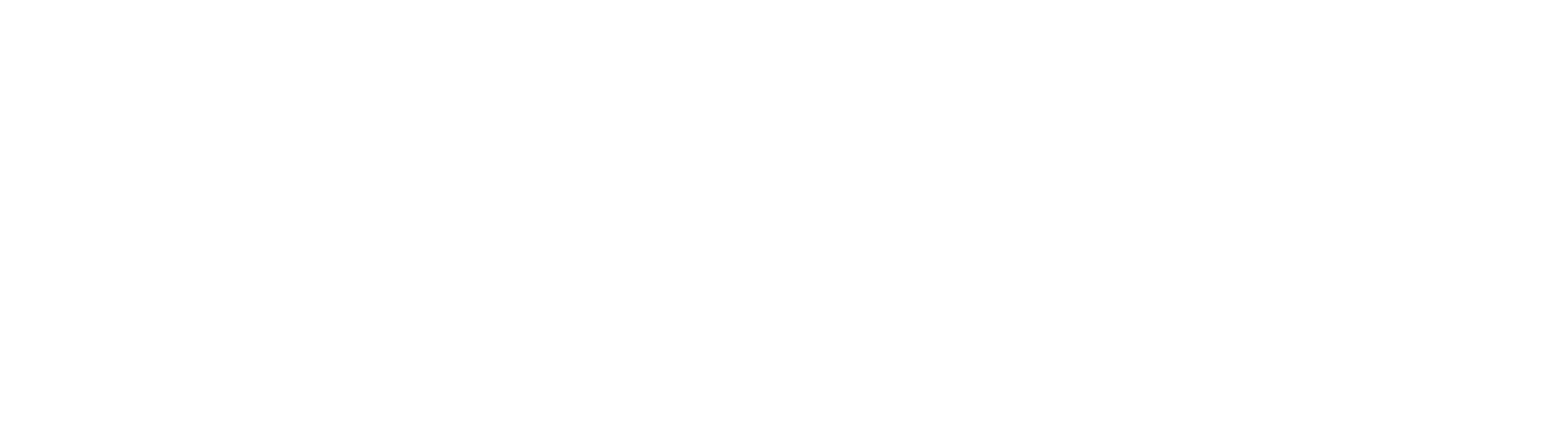 Fx fitness logo hvit